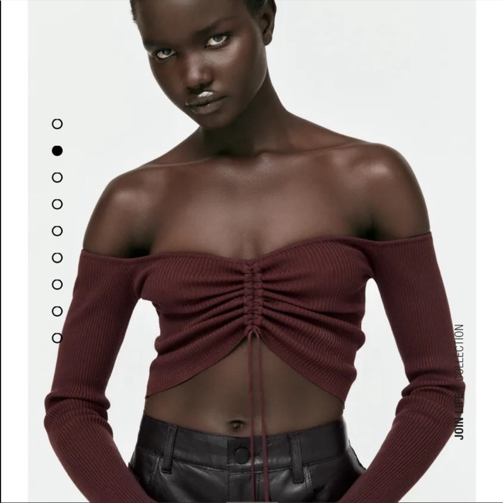 Zara cropped ruched top brown
